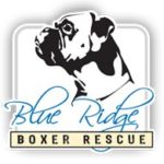 blue-ridge-boxer-profile